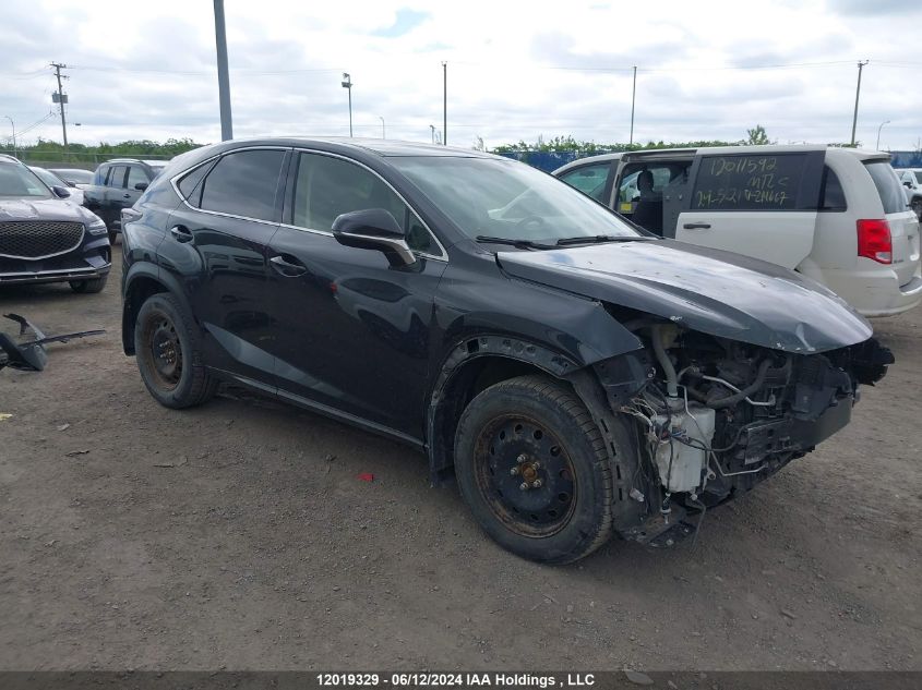 2017 Lexus Nx 200T VIN: JTJBARBZ7H2145457 Lot: 12019329