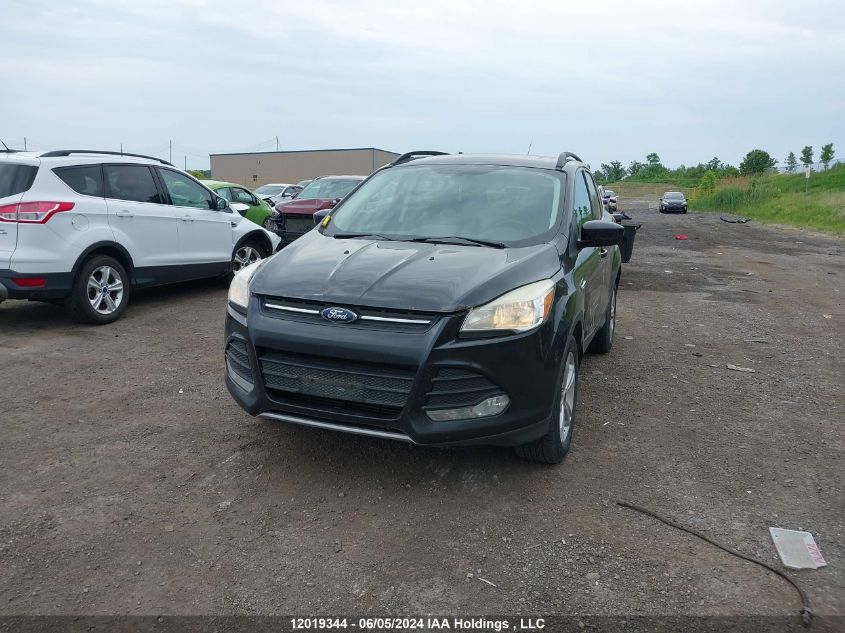 2014 Ford Escape Se VIN: 1FMCU9GX7EUC87566 Lot: 12019344