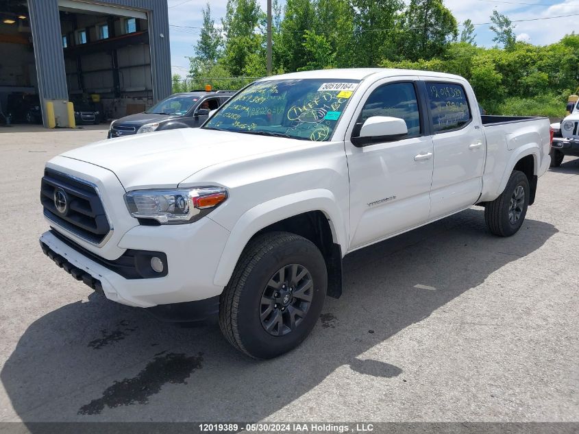 2023 Toyota Tacoma Double Cab/Sr5/Trd Sport/Trd Off Road VIN: 3TYDZ5BNXPT032821 Lot: 12019389