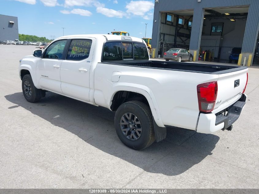 2023 Toyota Tacoma Double Cab/Sr5/Trd Sport/Trd Off Road VIN: 3TYDZ5BNXPT032821 Lot: 12019389