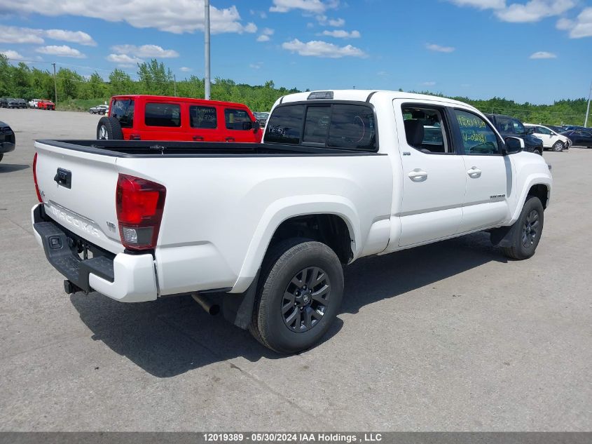 2023 Toyota Tacoma Double Cab/Sr5/Trd Sport/Trd Off Road VIN: 3TYDZ5BNXPT032821 Lot: 12019389