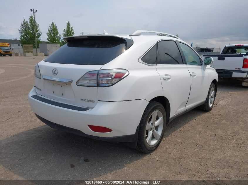 2010 Lexus Rx 350 VIN: 2T2BK1BA5AC038373 Lot: 12019469