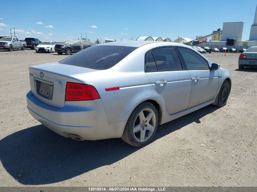 2004 Acura Tl VIN: 19UUA66234A805387 Lot: 12019514