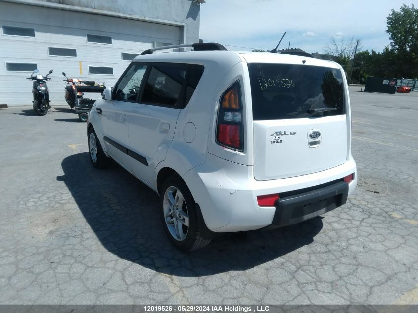 2010 Kia Soul VIN: KNDJT2A29A7167232 Lot: 12019526