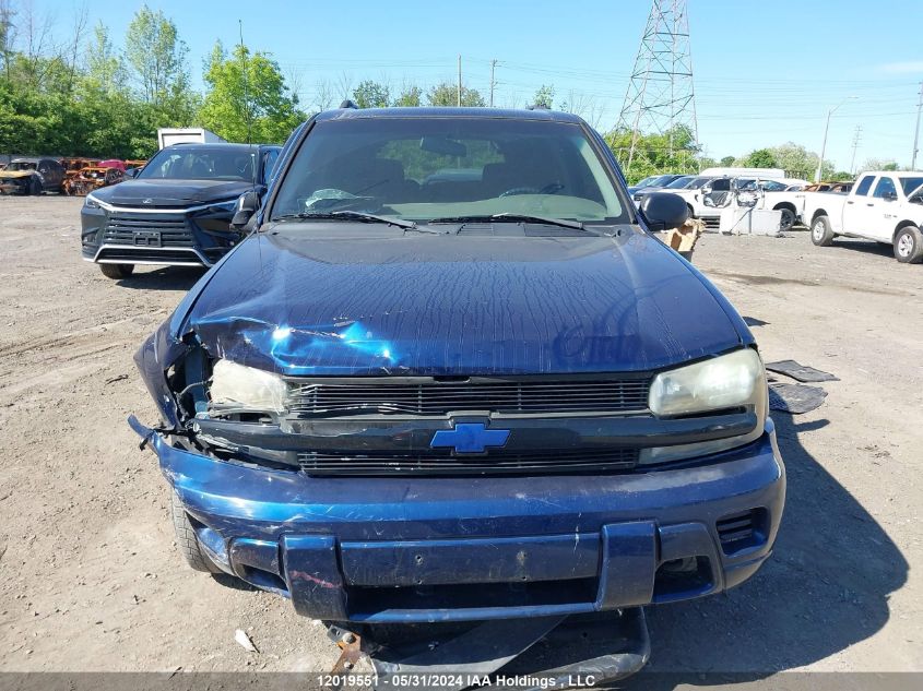 2002 Chevrolet Trailblazer VIN: 1GNDT13S622237618 Lot: 12019551