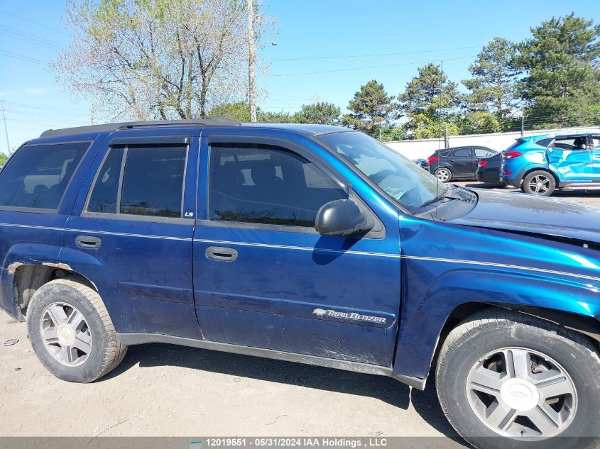 2002 Chevrolet Trailblazer VIN: 1GNDT13S622237618 Lot: 12019551