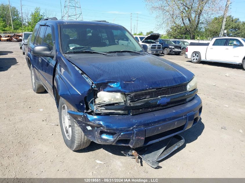 2002 Chevrolet Trailblazer VIN: 1GNDT13S622237618 Lot: 12019551