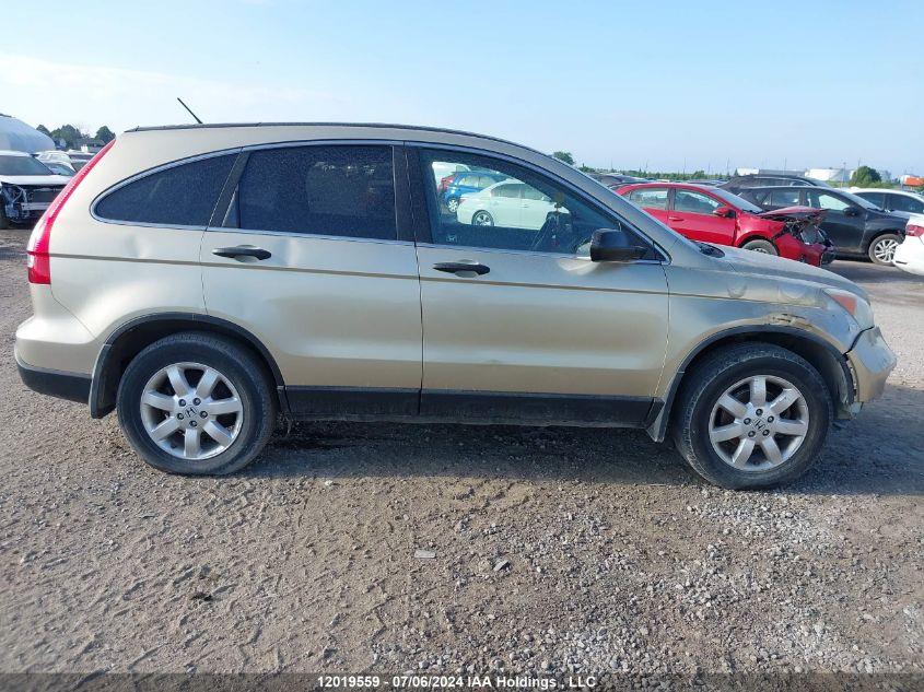 2007 Honda Cr-V VIN: 5J6RE48597L806213 Lot: 12019559