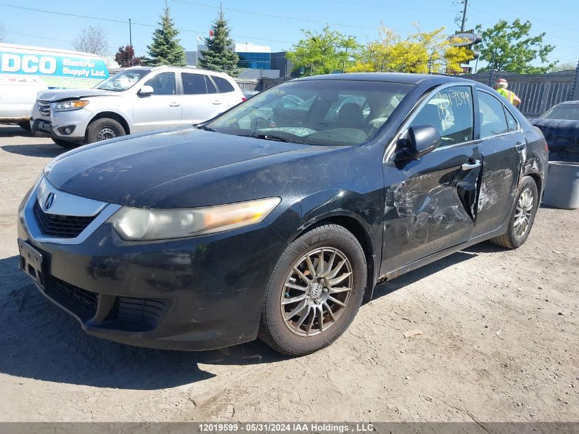 2009 Acura Tsx VIN: JH4CU26469C801016 Lot: 12019599