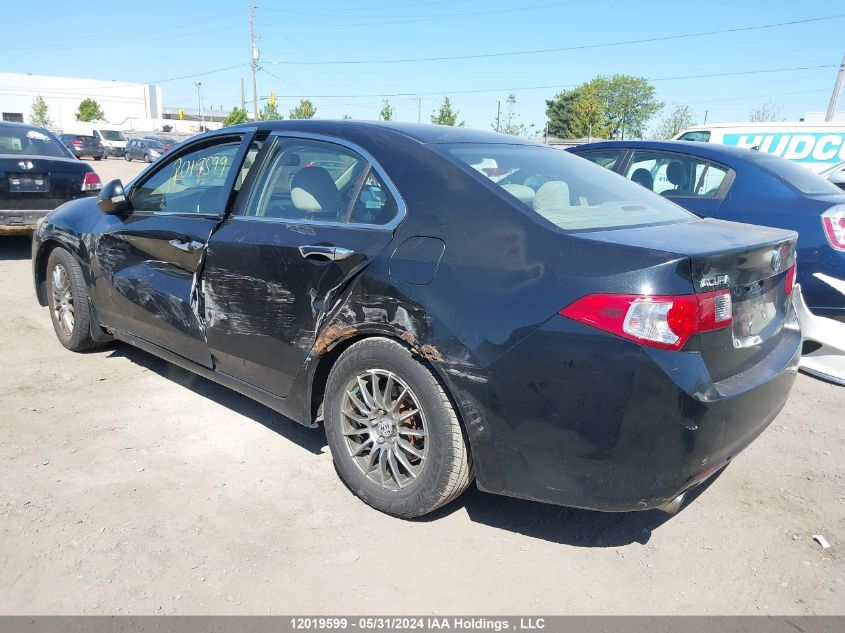 2009 Acura Tsx VIN: JH4CU26469C801016 Lot: 12019599