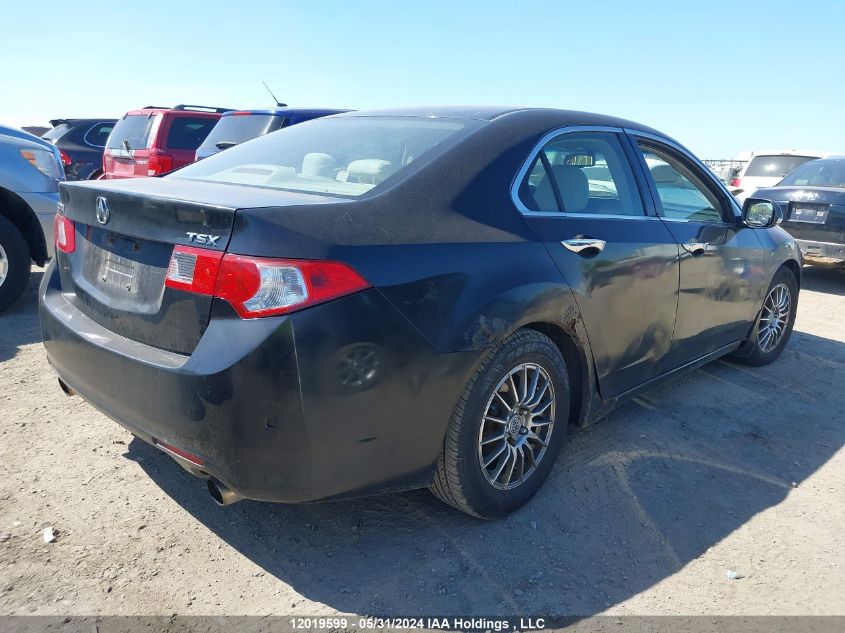 2009 Acura Tsx VIN: JH4CU26469C801016 Lot: 12019599