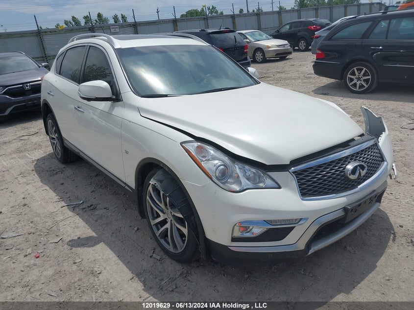 2017 Infiniti Qx50 VIN: JN1BJ0RR6HM401793 Lot: 12019629