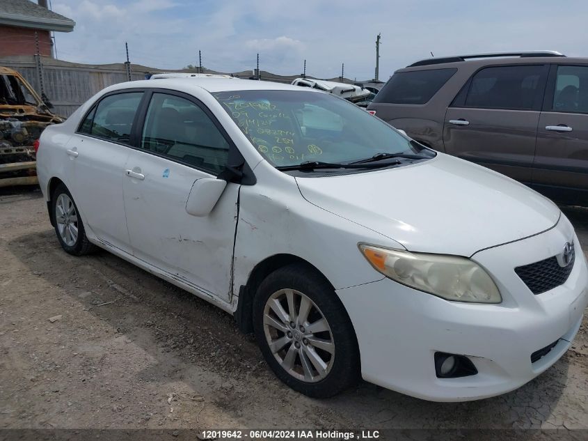 2009 Toyota Corolla VIN: 2T1BU40E19C082744 Lot: 12019642