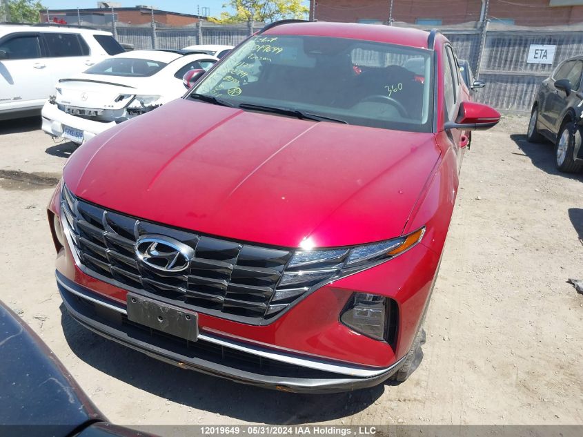 2023 Hyundai Tucson VIN: KM8JBCAE8PU202741 Lot: 12019649