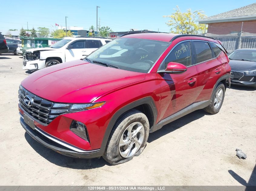 2023 Hyundai Tucson VIN: KM8JBCAE8PU202741 Lot: 12019649