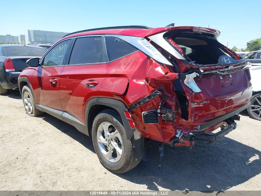 2023 Hyundai Tucson VIN: KM8JBCAE8PU202741 Lot: 12019649