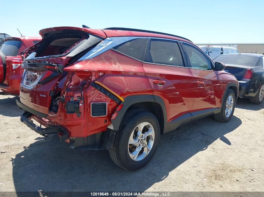 2023 Hyundai Tucson VIN: KM8JBCAE8PU202741 Lot: 12019649