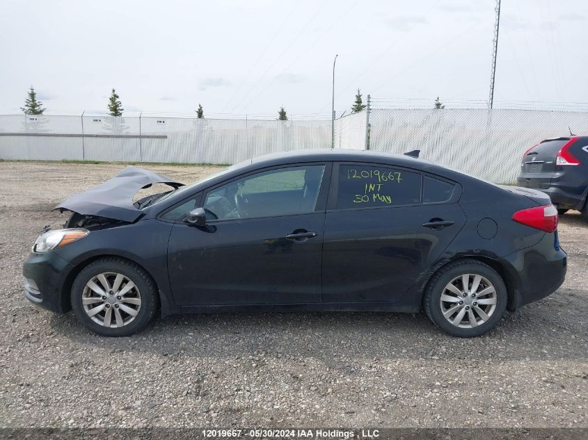 2016 Kia Forte VIN: KNAFX4A69G5615639 Lot: 12019667