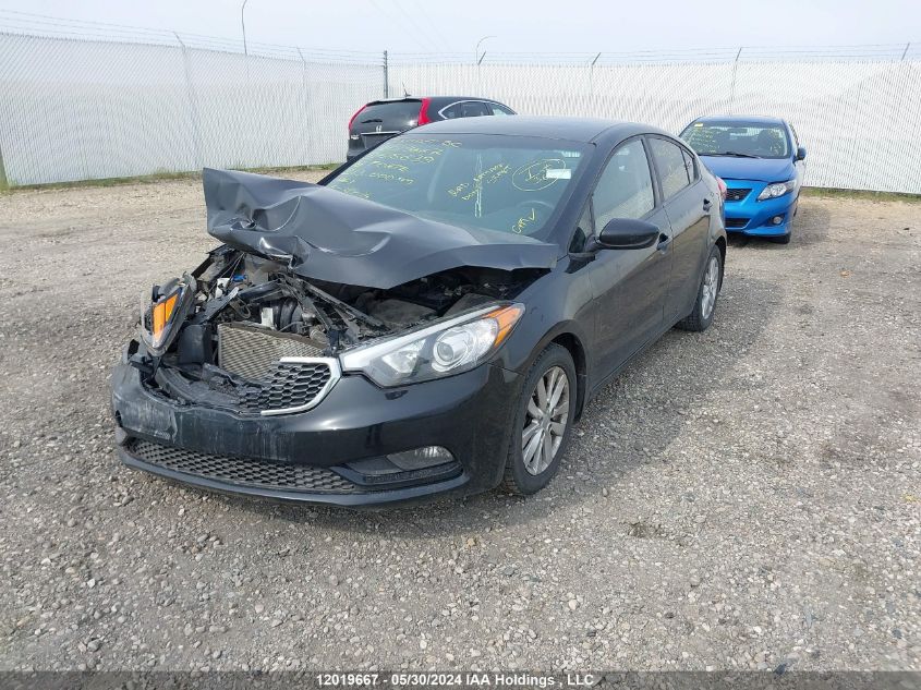 2016 Kia Forte VIN: KNAFX4A69G5615639 Lot: 12019667