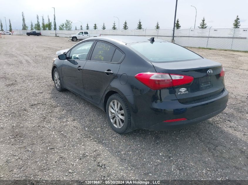 2016 Kia Forte VIN: KNAFX4A69G5615639 Lot: 12019667