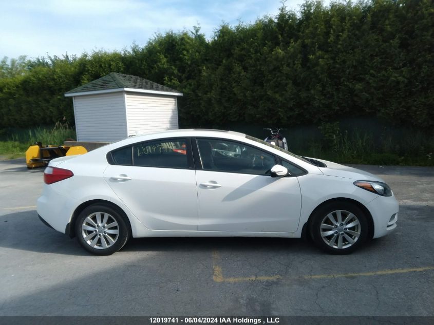 2014 Kia Forte Lx VIN: KNAFX4A62E5120762 Lot: 12019741