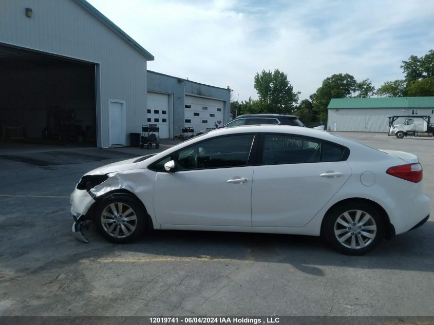 2014 Kia Forte Lx VIN: KNAFX4A62E5120762 Lot: 12019741