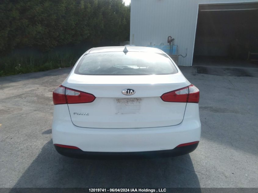 2014 Kia Forte Lx VIN: KNAFX4A62E5120762 Lot: 12019741