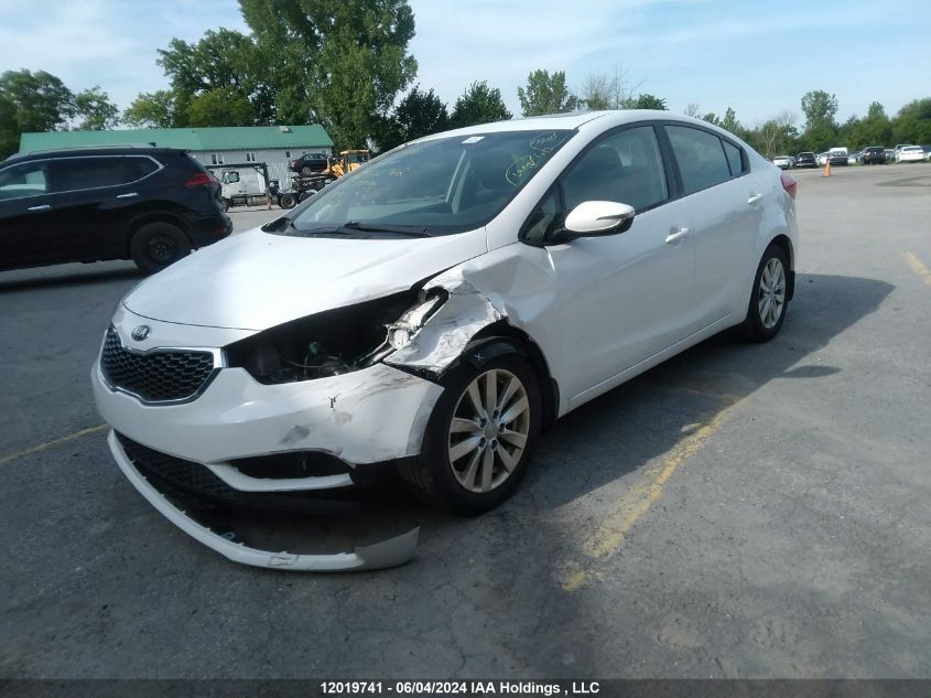 2014 Kia Forte Lx VIN: KNAFX4A62E5120762 Lot: 12019741