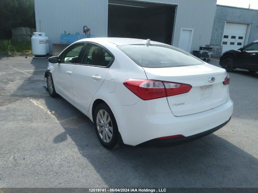 2014 Kia Forte Lx VIN: KNAFX4A62E5120762 Lot: 12019741