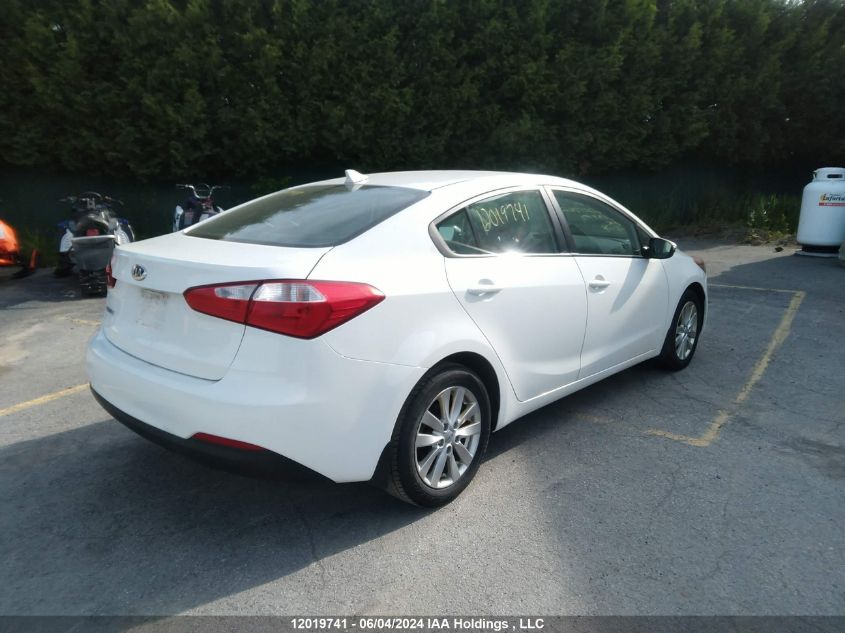 2014 Kia Forte Lx VIN: KNAFX4A62E5120762 Lot: 12019741