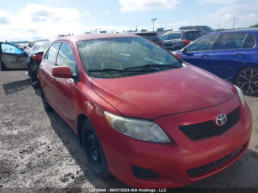 2009 Toyota Corolla VIN: 2T1BU40E19C187509 Lot: 12019845