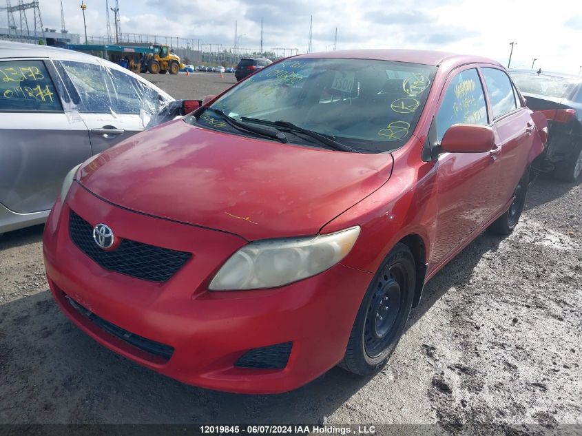 2009 Toyota Corolla VIN: 2T1BU40E19C187509 Lot: 12019845