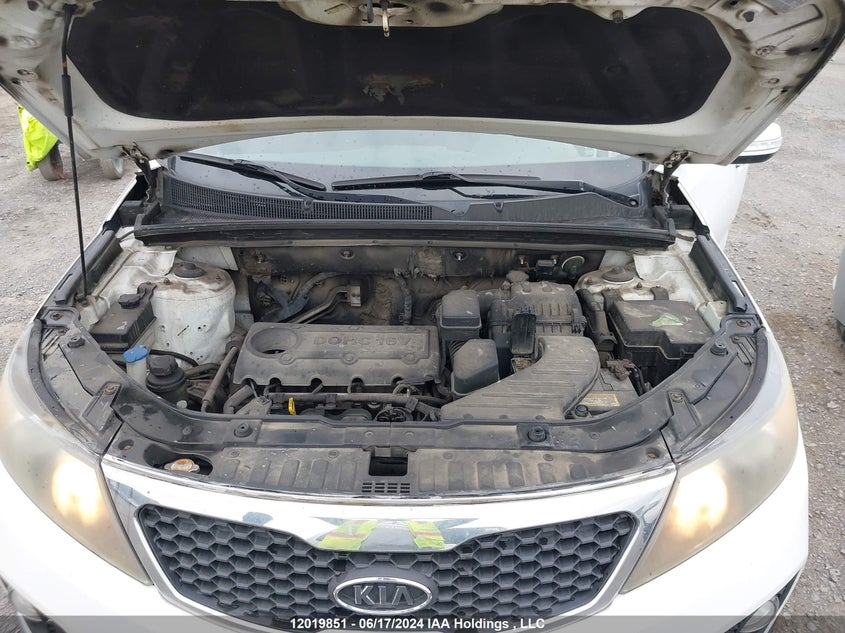 2011 Kia Sorento VIN: 5XYKTCA11BG071343 Lot: 12019851