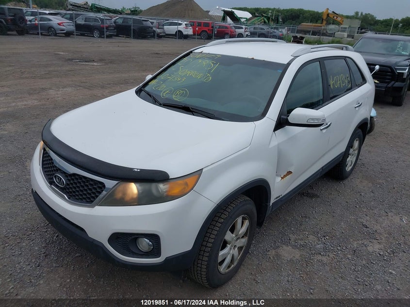 2011 Kia Sorento VIN: 5XYKTCA11BG071343 Lot: 12019851