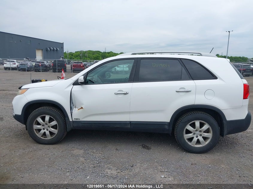 2011 Kia Sorento VIN: 5XYKTCA11BG071343 Lot: 12019851