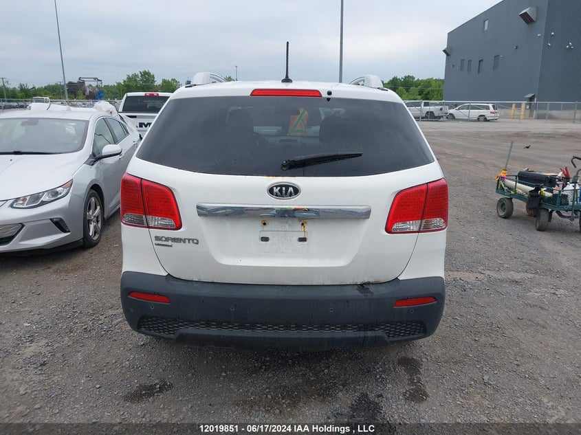 2011 Kia Sorento VIN: 5XYKTCA11BG071343 Lot: 12019851