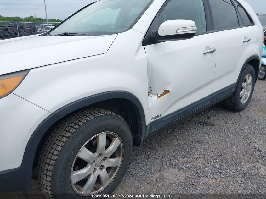 2011 Kia Sorento VIN: 5XYKTCA11BG071343 Lot: 12019851