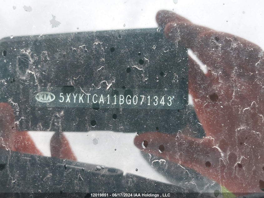 2011 Kia Sorento VIN: 5XYKTCA11BG071343 Lot: 12019851