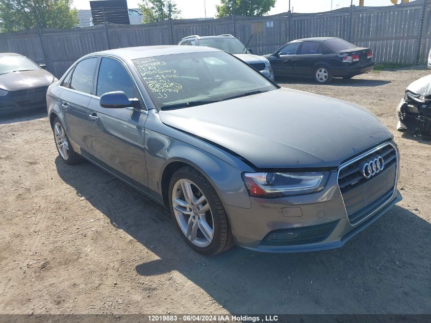 2013 Audi A4 VIN: WAUFFCFL3DN005243 Lot: 12019883