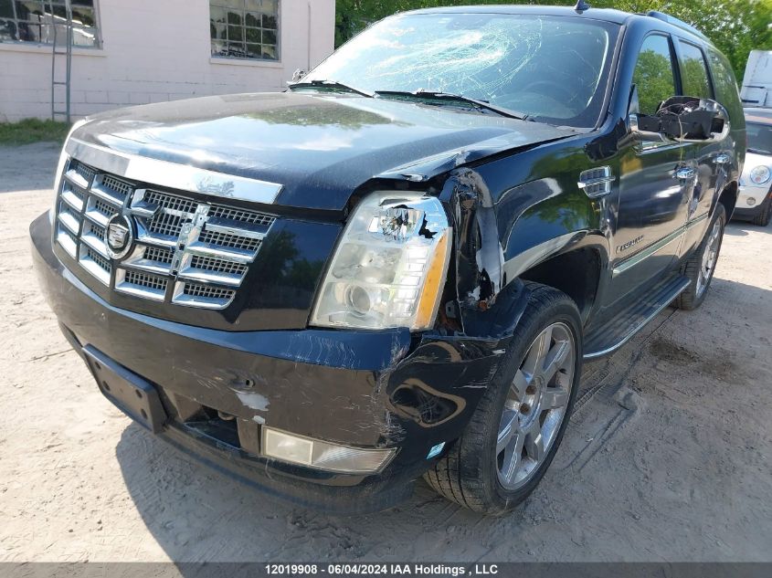 2008 Cadillac Escalade Luxury VIN: 1GYFK63818R132260 Lot: 12019908