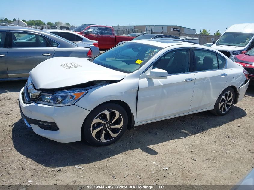 2016 Honda Accord Sedan VIN: 1HGCR2F82GA800588 Lot: 12019944