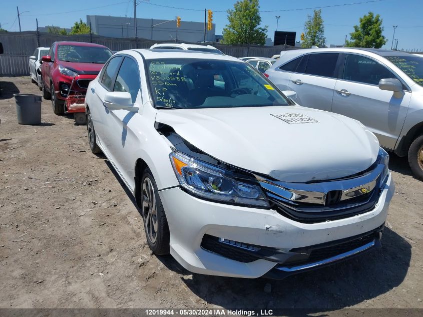 2016 Honda Accord Sedan VIN: 1HGCR2F82GA800588 Lot: 12019944