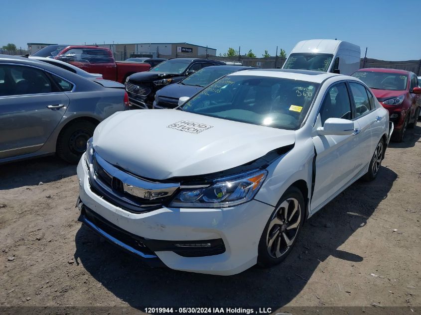 2016 Honda Accord Sedan VIN: 1HGCR2F82GA800588 Lot: 12019944