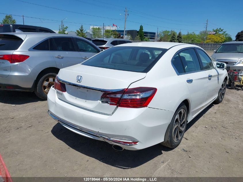 2016 Honda Accord Sedan VIN: 1HGCR2F82GA800588 Lot: 12019944