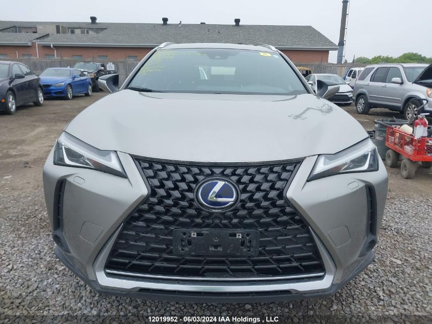 2020 Lexus Ux 250H VIN: JTHP9JBH1L2030404 Lot: 12019952