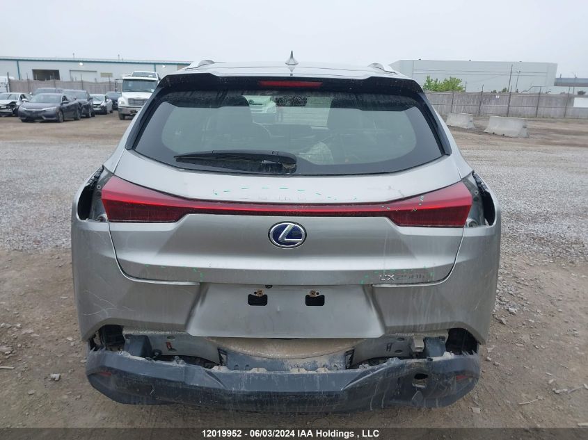 2020 Lexus Ux 250H VIN: JTHP9JBH1L2030404 Lot: 12019952