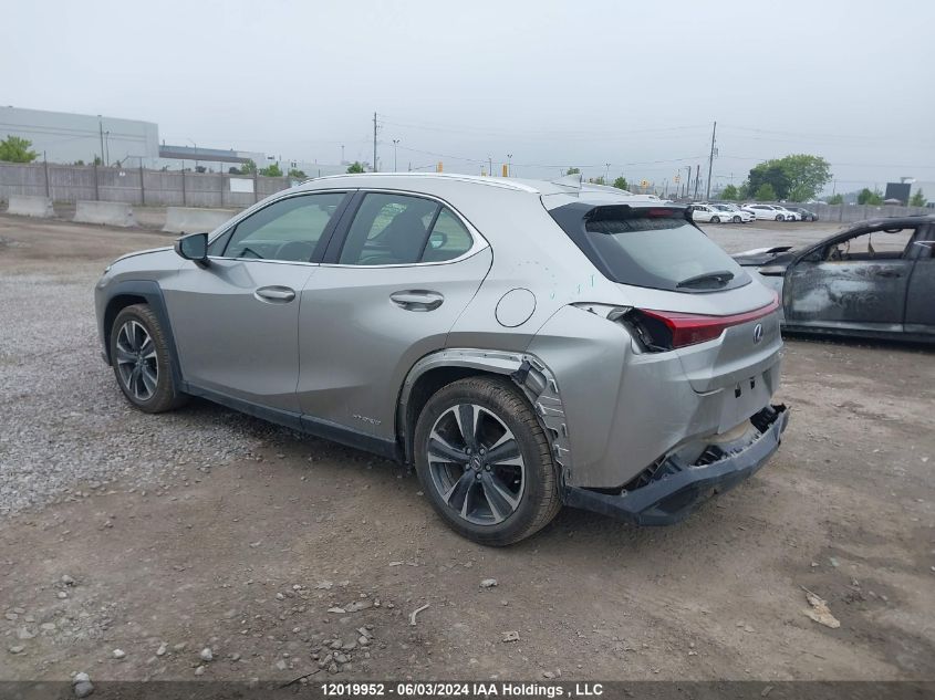 2020 Lexus Ux 250H VIN: JTHP9JBH1L2030404 Lot: 12019952