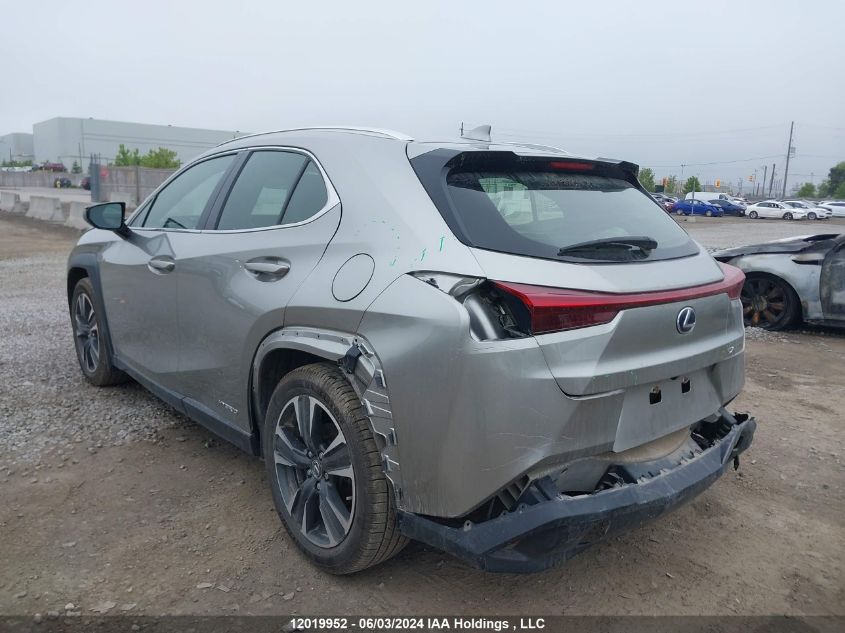 2020 Lexus Ux 250H VIN: JTHP9JBH1L2030404 Lot: 12019952