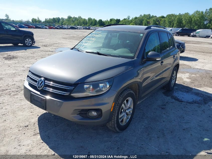 2014 Volkswagen Tiguan VIN: WVGKV3AX2EW610229 Lot: 12019987