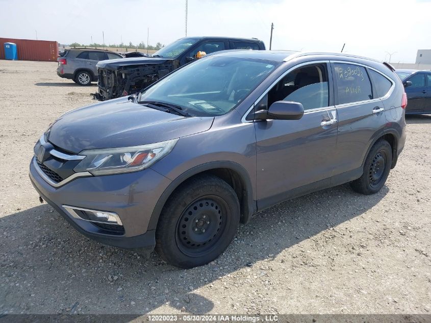 2016 Honda Cr-V VIN: 5J6RM4H99GL802670 Lot: 12020023